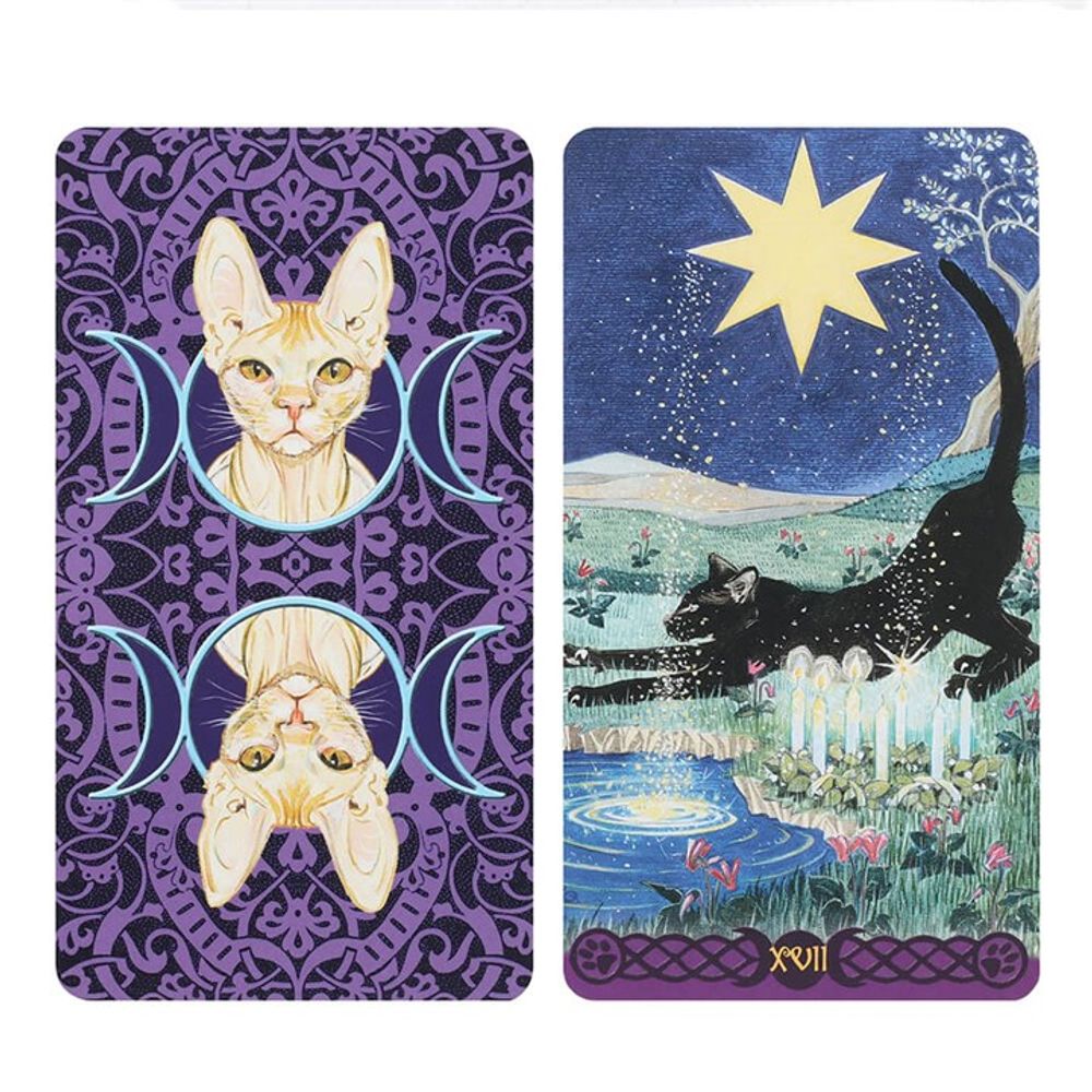 Pagan Cats Tarot Cards